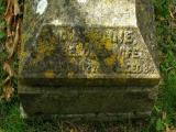 image of grave number 409910